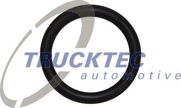 Trucktec Automotive 08.10.096 - Прокладка, указатель уровня масла autospares.lv