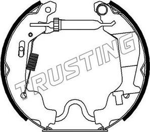 Trusting 6256 - Комплект тормозных колодок, барабанные autospares.lv
