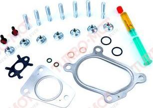 Turbo-Mot MS1831 - Установочный комплект, турбокомпрессор autospares.lv