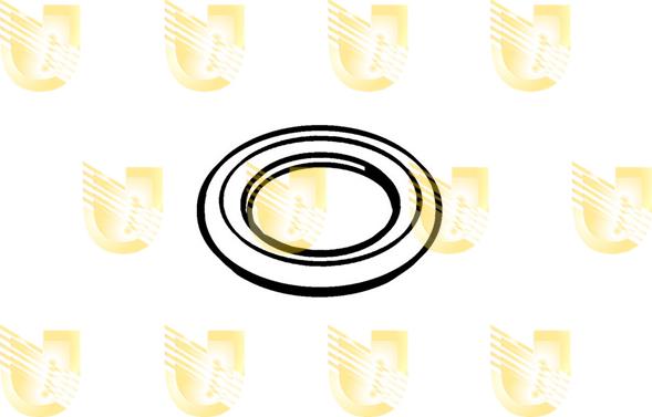 Unigom 162060 - Уплотнительное кольцо, резьбовая пробка маслосливного отверстия autospares.lv