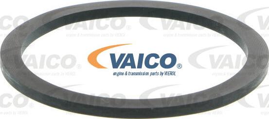 VAICO V46-0034 - Топливный фильтр autospares.lv