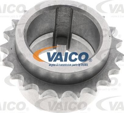 VAICO V46-0855 - Шестерня, коленчатый вал autospares.lv