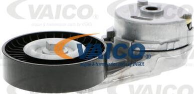 VAICO V40-0666 - Ролик, поликлиновый ремень autospares.lv