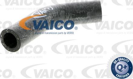 VAICO V40-0367 - Шланг радиатора autospares.lv