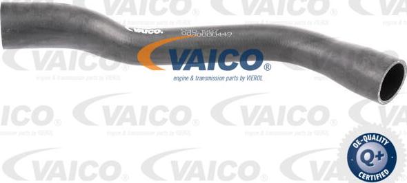 VAICO V40-1987 - Шланг для удаление воздуха, топливный бак autospares.lv