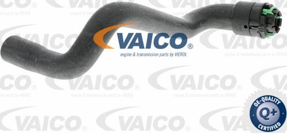 VAICO V40-1347 - Шланг радиатора autospares.lv