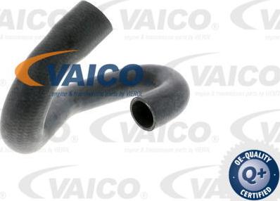 VAICO V40-1339 - Шланг радиатора autospares.lv