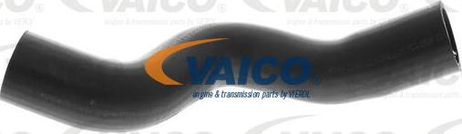 VAICO V40-1323 - Шланг радиатора autospares.lv