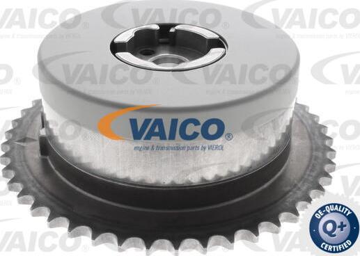 VAICO V40-1204 - Шестерня привода распределительного вала autospares.lv