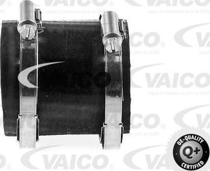 VAICO V42-0580 - Трубка, нагнетание воздуха autospares.lv