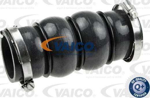 VAICO V42-0579 - Трубка, нагнетание воздуха autospares.lv