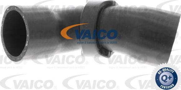 VAICO V42-0613 - Трубка, нагнетание воздуха autospares.lv