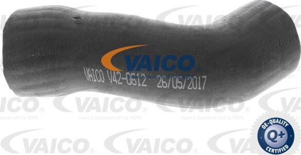 VAICO V42-0612 - Трубка, нагнетание воздуха autospares.lv