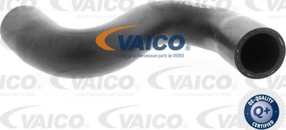 VAICO V42-0635 - Шланг радиатора autospares.lv