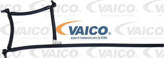 VAICO V42-0862 - Шланг, распределение топлива autospares.lv