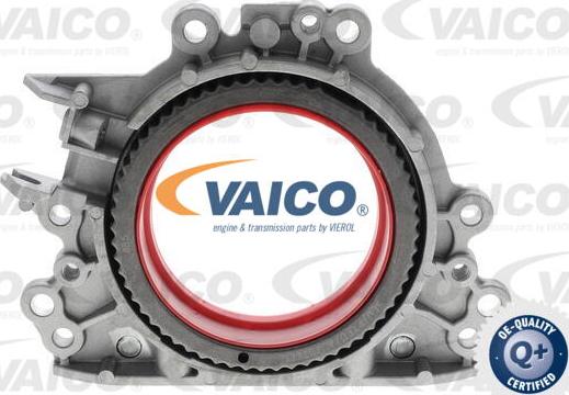 VAICO V10-4859 - Уплотняющее кольцо, коленчатый вал autospares.lv