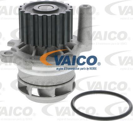 VAICO V10-50108-BEK - Водяной насос + комплект зубчатого ремня ГРМ autospares.lv