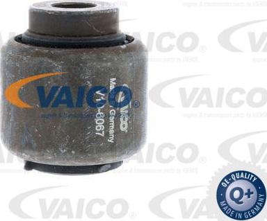 VAICO V10-6067 - Сайлентблок, рычаг подвески колеса autospares.lv