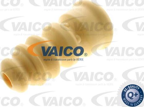 VAICO V10-6032 - Отбойник, демпфер амортизатора autospares.lv