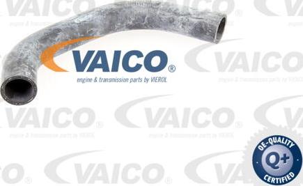 VAICO V10-0065 - Шланг радиатора autospares.lv