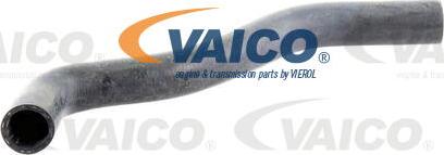 VAICO V10-0061 - Шланг радиатора autospares.lv