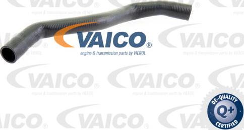 VAICO V10-0071 - Шланг радиатора autospares.lv