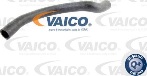 VAICO V10-0072 - Шланг радиатора autospares.lv