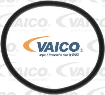 VAICO V10-0806 - Топливный насос autospares.lv