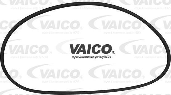 VAICO V10-0888 - Прокладка, заднее стекло autospares.lv