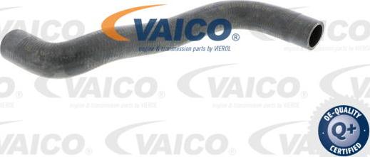 VAICO V10-0361 - Шланг радиатора autospares.lv