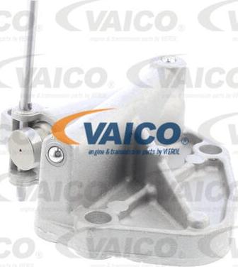 VAICO V10-10025-BEK - Комплект цепи привода распредвала autospares.lv