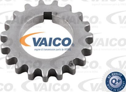 VAICO V10-10025 - Комплект цепи привода распредвала autospares.lv