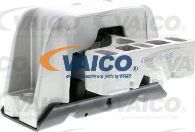VAICO V10-1299 - Подушка, опора, подвеска двигателя autospares.lv