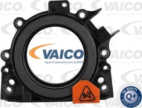 VAICO V10-3684 - Уплотняющее кольцо, коленчатый вал autospares.lv