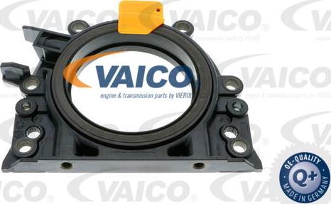 VAICO V10-3686 - Уплотняющее кольцо, коленчатый вал autospares.lv