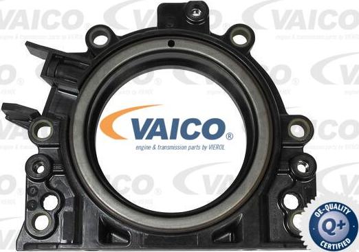 VAICO V10-3262 - Уплотняющее кольцо, коленчатый вал autospares.lv