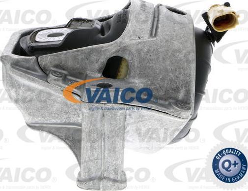 VAICO V10-3755 - Подушка, опора, подвеска двигателя autospares.lv