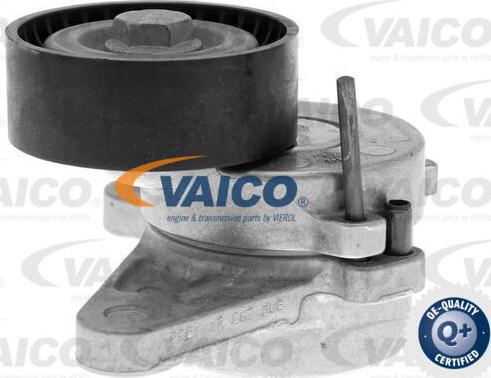 VAICO V10-3703 - Натяжитель, поликлиновый ремень autospares.lv