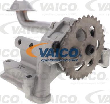 VAICO V10-3724 - Масляный насос autospares.lv