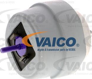 VAICO V10-2960 - Подушка, опора, подвеска двигателя autospares.lv