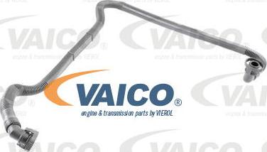 VAICO V10-2679 - Шланг, вентиляция картера autospares.lv