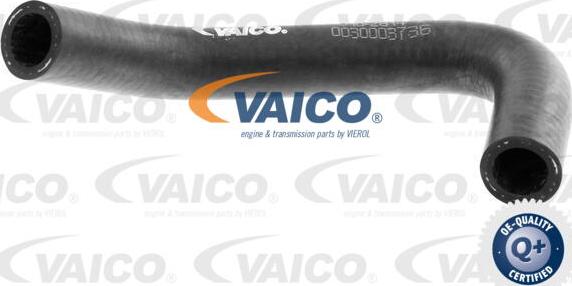 VAICO V10-2814 - Шланг радиатора autospares.lv