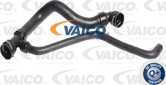 VAICO V10-7567 - Шланг радиатора autospares.lv