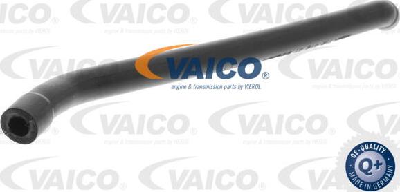 VAICO V30-0862 - Шланг, вентиляция картера autospares.lv