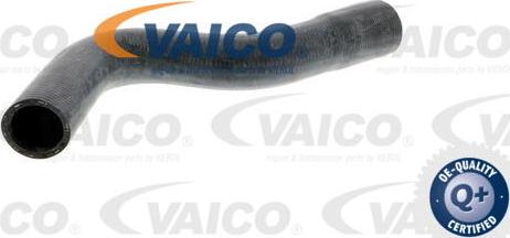 VAICO V30-0247 - Шланг радиатора autospares.lv