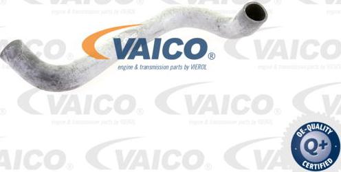 VAICO V30-0221 - Шланг радиатора autospares.lv