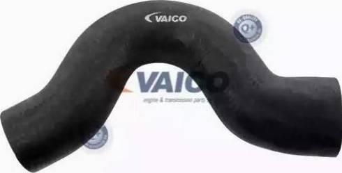 VAICO V30-0707 - Шланг радиатора autospares.lv