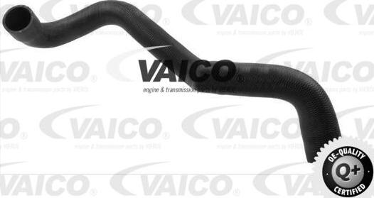 VAICO V30-0713 - Шланг радиатора autospares.lv