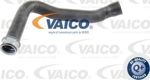 VAICO V30-1659 - Шланг радиатора autospares.lv