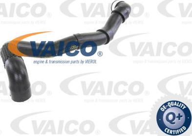 VAICO V30-1652 - Шланг радиатора autospares.lv